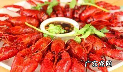 龙虾吃多了对身体危害,龙虾能不能吃多为什么