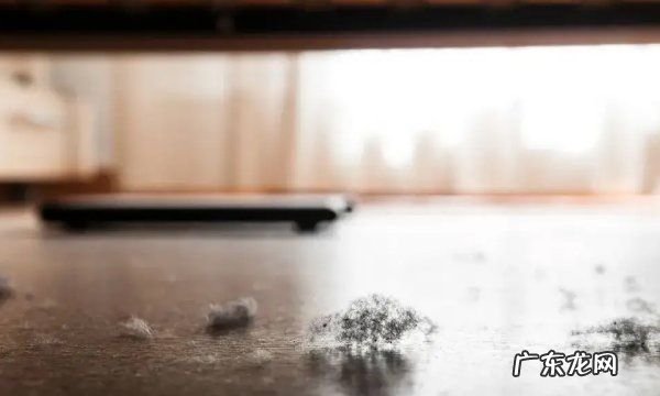 卧室灰尘毛毛太多怎么清除,家里毛绒灰尘太多妙招姐