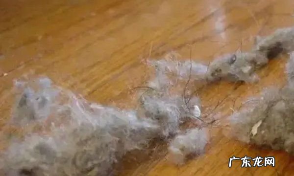 卧室灰尘毛毛太多怎么清除,家里毛绒灰尘太多妙招姐