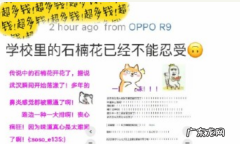 武汉石楠花什么意思,让武汉人花式吐槽的石楠花是什么为什么还被广泛种植