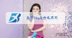 flag是什么意思中文翻译,英语flag是什么意思中文