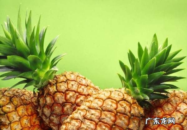 柜子有味道怎么去除,怎样去除衣柜里的异味小妙招