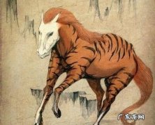 古代的驳是什么动物,驳是什么动物