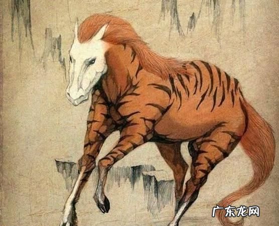 古代的驳是什么动物,驳是什么动物