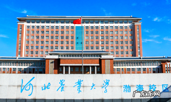 河北经贸大学是985吗?,河北的985大学与2大学有哪些