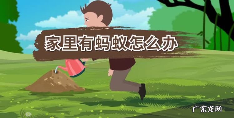 怎样能避免床上有蚂蚁,家里发现一个大蟑螂还会有
