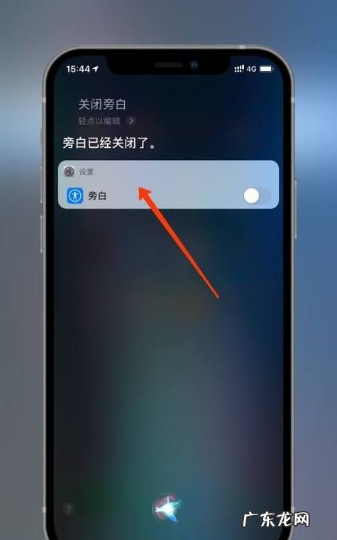 苹果手机iphone 旁白有什么用,苹果siri旁白是什么意思