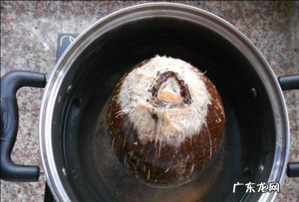 椰子肉怎么吃怎么做,椰子肉的00种吃法