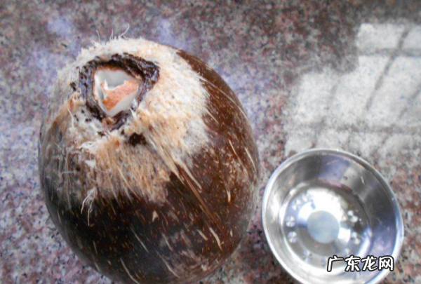 椰子肉怎么吃怎么做,椰子肉的00种吃法