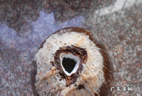 椰子肉怎么吃怎么做,椰子肉的00种吃法