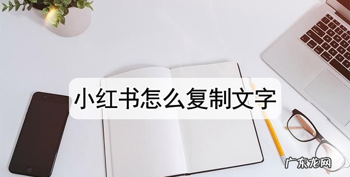 小红书不能复制文字,小红书复制文字怎么复制微信