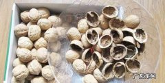 核桃皮是什么垃圾东西,核桃壳属于哪类垃圾