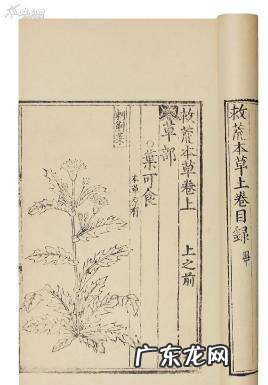 救荒本草是哪个朝代的人写的,救荒本草是哪个朝代的