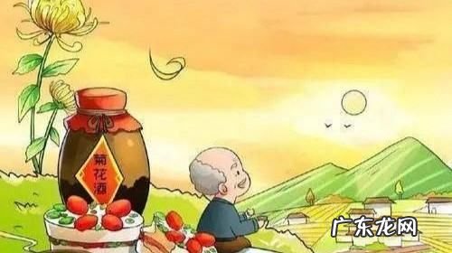 重阳节有什么习俗,重阳节传统节日风俗
