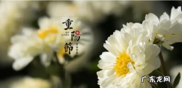 重阳节有什么习俗,重阳节传统节日风俗
