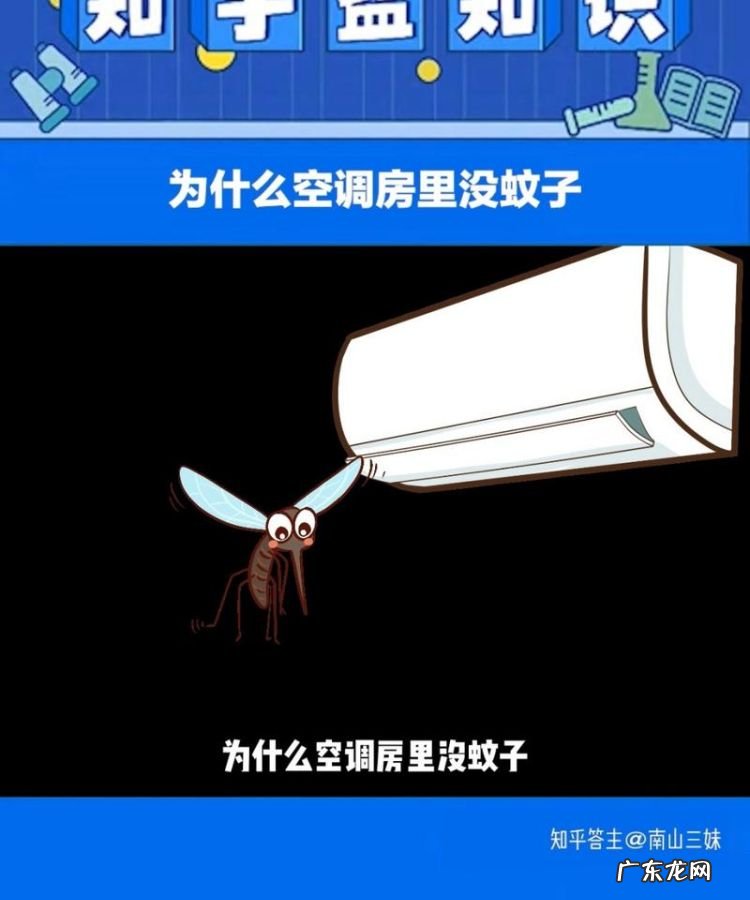 空调房里有蚊子怎么办,空调房里蚊子很多怎么办