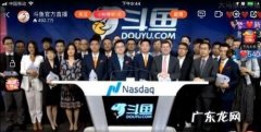 斗鱼上市是什么意思,斗鱼为什么不在中国上市