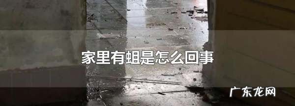 家里有蛆虫怎么回事,家里为什么出现蛆虫