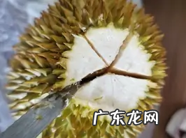 榴莲没裂开怎么打开,榴莲没有裂开怎么打开吃
