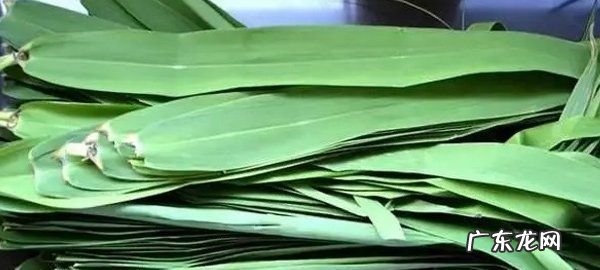 干粽叶煮多长时间可以用,干粽叶需要煮多长时间才能用