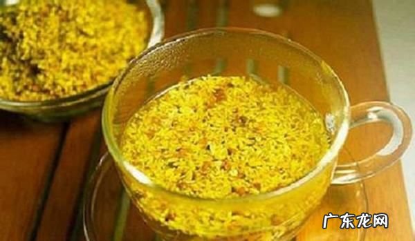 桂花不能和什么一起泡,桂花泡水喝有什么作用与功效禁忌