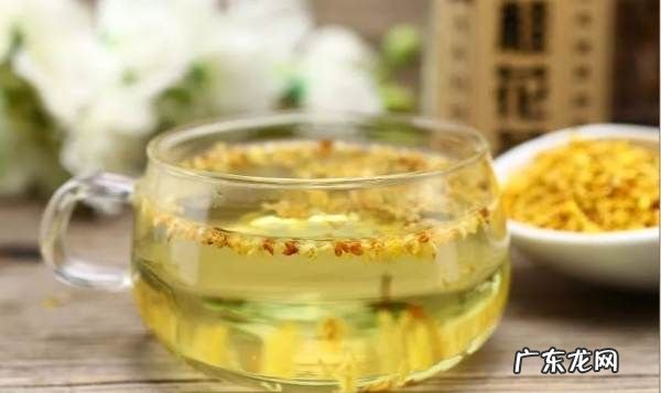 桂花不能和什么一起泡,桂花泡水喝有什么作用与功效禁忌