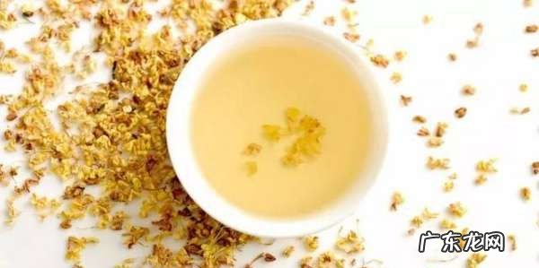 桂花不能和什么一起泡,桂花泡水喝有什么作用与功效禁忌
