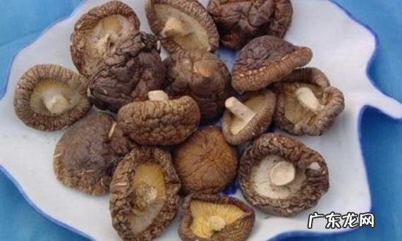 干蘑菇泡多长时间有毒,干茶树菇泡了十分钟煮多久能熟