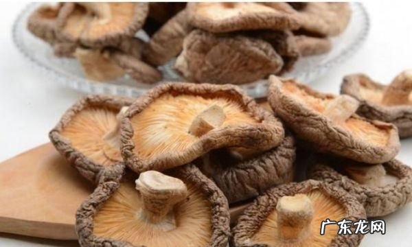 干蘑菇泡多长时间有毒,干茶树菇泡了十分钟煮多久能熟