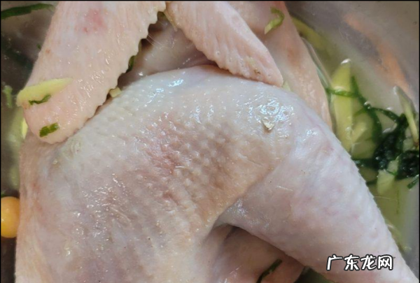 湛江隔水蒸鸡的做法,隔水蒸鸡做法大全