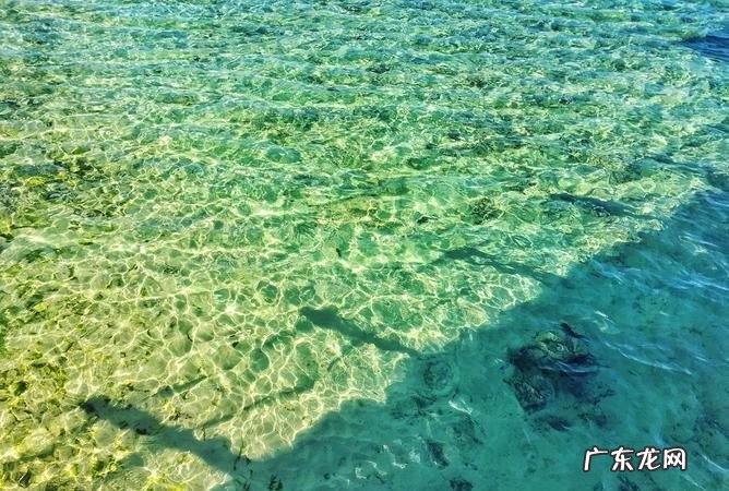 海水有甜分,海水为什么不能是甜的