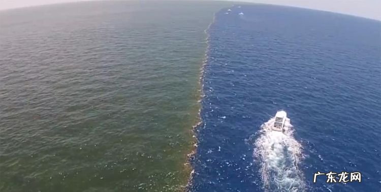 海水有甜分,海水为什么不能是甜的