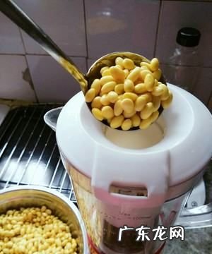 用豆子怎么做腐竹,腐竹怎么做