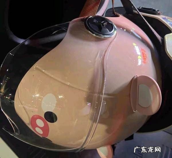 头盔质量怎么看,怎么知道自己的电动车是哪一款