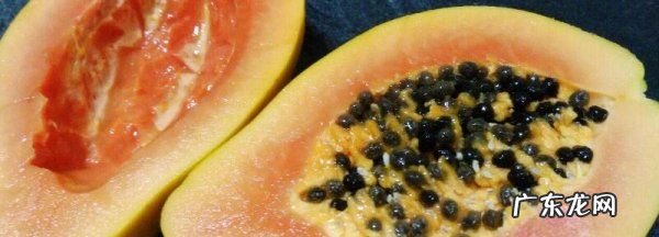 木瓜籽能种植,木瓜的种子可以种植