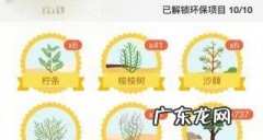 蚂蚁森林纸质证书什么时候可以领,蚂蚁森林全民义务植树证书何时解锁