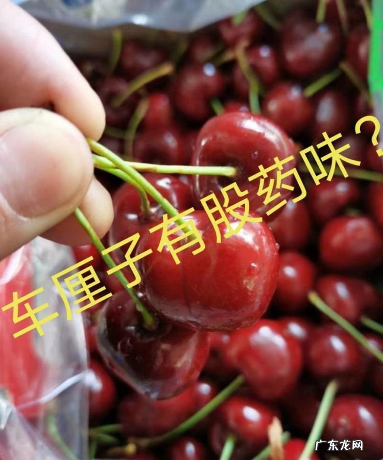 樱桃为什么会有消毒水的味道,为什么有的大樱桃会有一股药水味儿