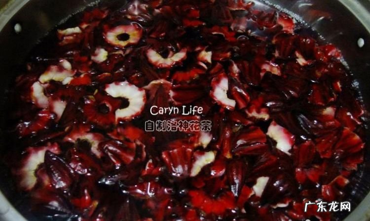 洛神花干能用开水泡,洛神花茶的功效与作用及禁忌
