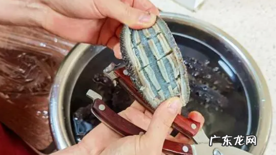 海参怎么发 海参发法简述,如何正确泡发干海参