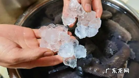 海参怎么发 海参发法简述,如何正确泡发干海参