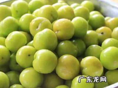 腌李子怎么做才好吃,怎样腌李子才好吃