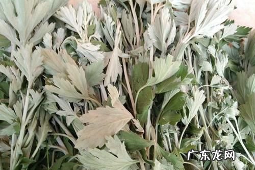 怎么样用艾叶总结三种用法,怎样用艾叶总结三种用法