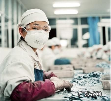 硅厂上班对人体有害,单晶硅厂上班对人有伤害
