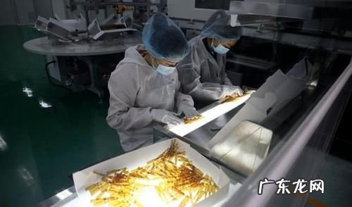硅厂上班对人体有害,单晶硅厂上班对人有伤害