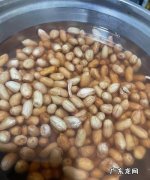 花生甜汤怎么做,海带花生汤的家常做法
