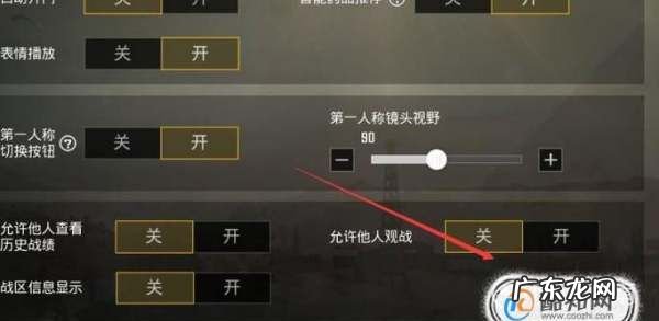 和平精英观战怎么聊天,和平精英观战能听到语音对话