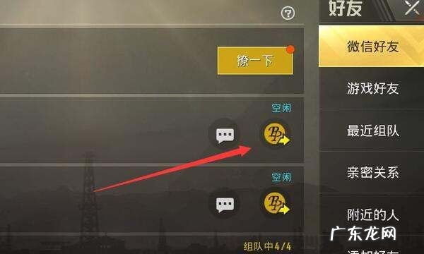 和平精英观战怎么聊天,和平精英观战能听到语音对话