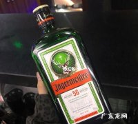 野格可以纯饮,野格酒怎么喝