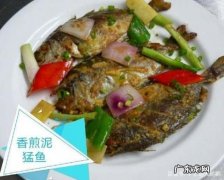 海泥鳅鱼的做法,泥鳅怎么做法最好吃