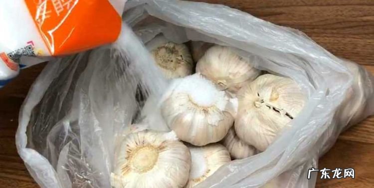 刚收的大蒜怎样存放,新鲜大蒜怎么保存才能保持新鲜
